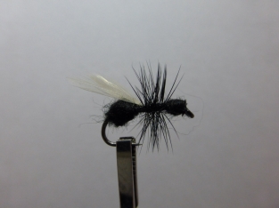 Size 14 Flying Ant Black Barbless